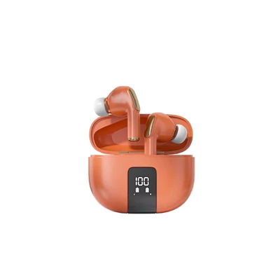 True Wireless Stereo Headsets (2)