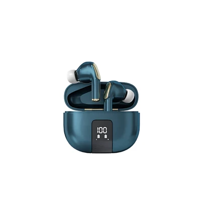 True Wireless Stereo Headsets (1)